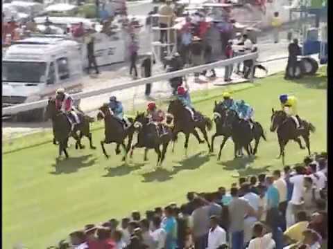 Duchess Of York Cup 2012 - Il Saggiatore