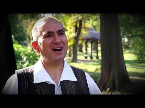 Liviu Dica - Painea dulce de acasa