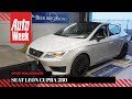 Seat Leon Cupra 280 - Op de Rollenbank
