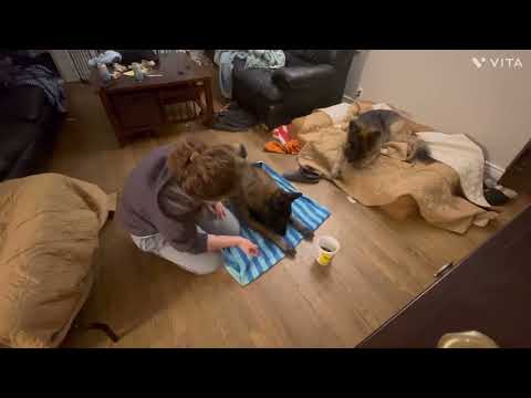 2023 0118 Dizzy toe nail with start button