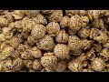 Longze Machinery Caramel Mushroom Gourment Popcorn Machine Popcorn Production Line