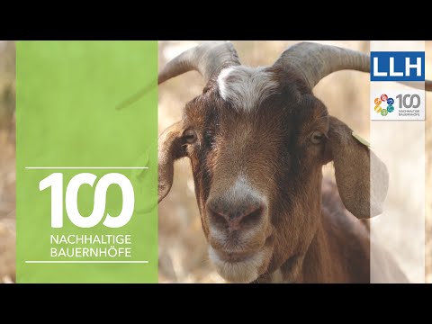 Zwischen Apfelbaum und Burenbock | Projekt 100 nachhaltige Bauernhöfe