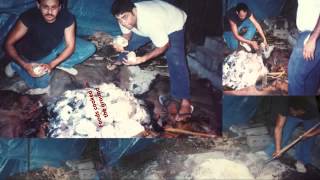 George Woodleigh C&#39;MON SIXTY FIVE 2015