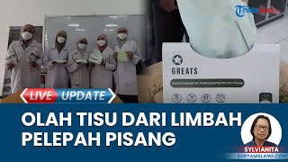 Mahasiswa UM Cipatakan Tisu Ramah Lingkungan dari Limbah Pelepah Pisang & Alga Hijau sebagai Pewarna