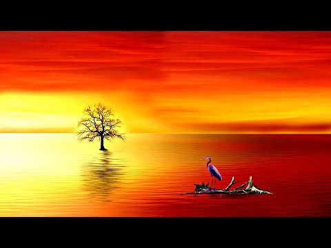 INSTRUMENTAL, ÉPOCA DE ORO VOL 5   AUDIO