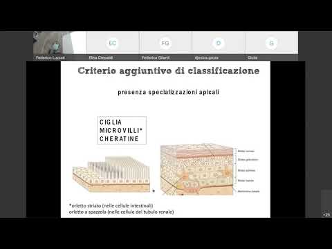 02 Istologia: Epiteli di Rivestimento_prima parte_canale A