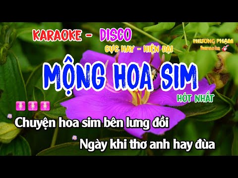 mộng hoa sim karaoke disco, remix cực hay, sống động