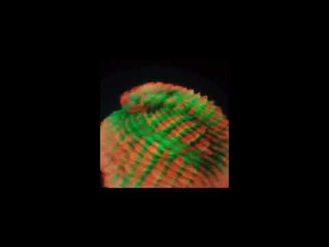 doyeq and glazoff AUX live Arma17