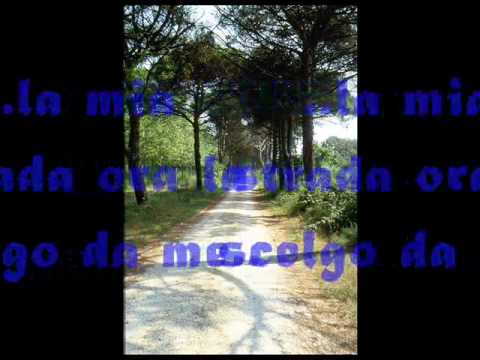 Giancarlo Cervelli - Non Mi Fermerò.wmv