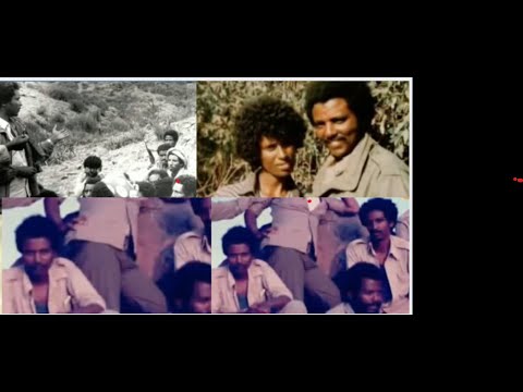 ቊጽሪ 72: ፍትሓዊ ጅግና: ወዲ ምነይ!