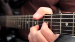 Im möblierten Käfig als Neustadttier - New Town Animal - XTC Cover