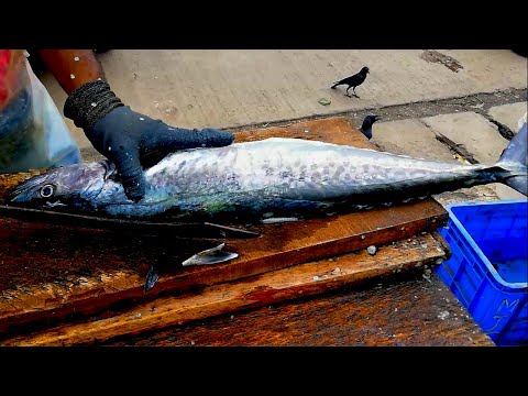 SEER FISH CUTTING | FISH CUTTING SKILLS SRI LANKA