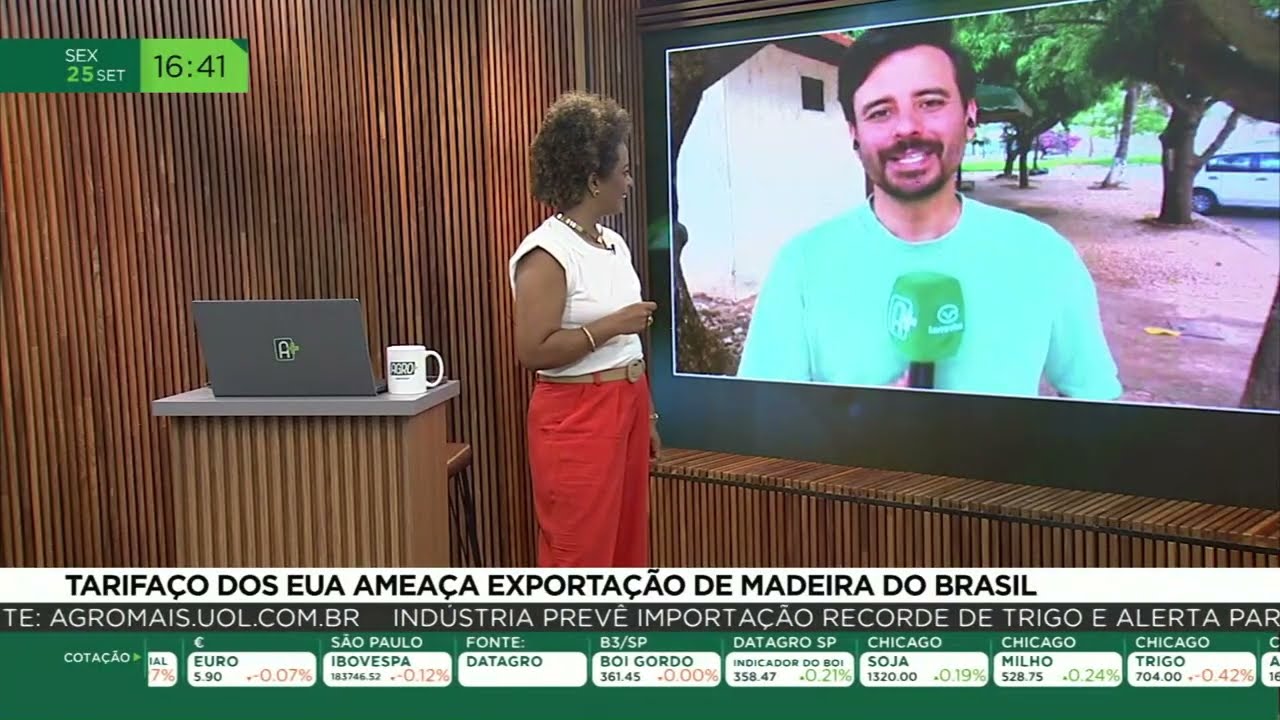 Tarifaço dos EUA ameaça exportação de madeira no Brasil