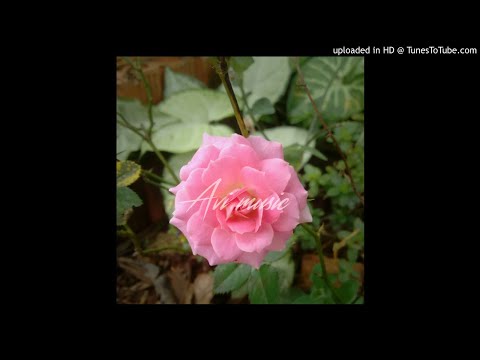 Bhaskar, Alok  Stonefox - This City ft. Pink Floyd - Another the brick in the wall edit (Avi music ,