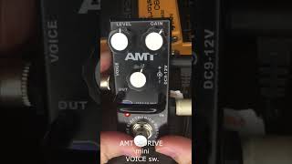 Video thumbnail for AMT P-DRIVE mini VOICE test by СХЕМАтичный