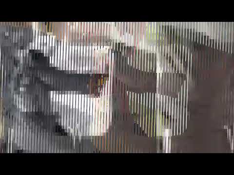 BALLO X JOOSLYF X WYLIX  € TEN PLEN #WODECR