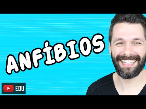 ANFÍBIOS - CORDADOS VERTEBRADOS | Biologia com Samuel Cunha