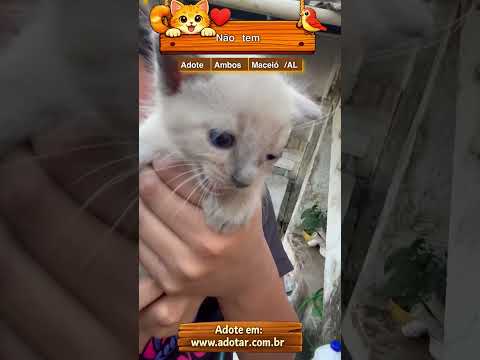 Vídeo de Não tem nome 