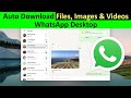 How To Set WhatsApp Desktop To Auto Download Files Images Videos