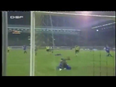 VfB Leipzig - Aufstieg 1992/93 & Bundesliga-Saison