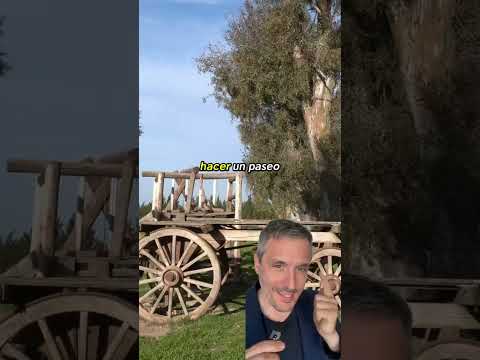 Hotel de Aviones Históricos en Córdoba: ¡Un Sueño! #shorts