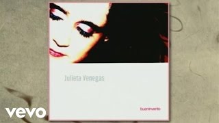 Julieta Venegas - Bueninvento (Cover Audio)