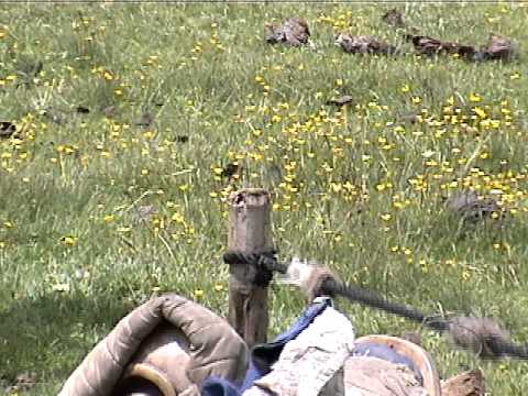 black tent-འབྲོག་པའི་སྦྲ་གུར།.mov