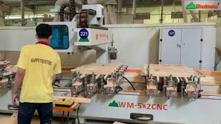 MÁY PHAY MỘNG ÂM CNC 5 Đầu 3200mm 8 Kẹp ( 10 Đầu) WOODMASTER Làm việc siêu nhanh giá tốt