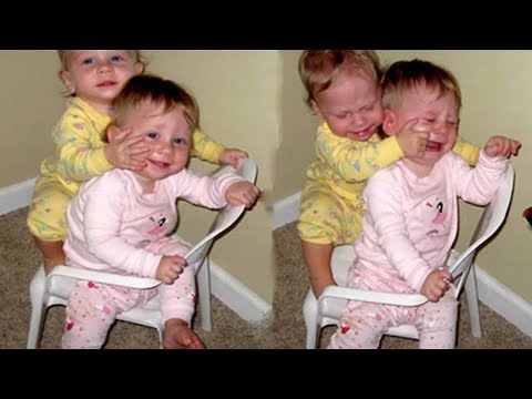 Twin Babies Fight Over Toys|| Funny Baby and Pet