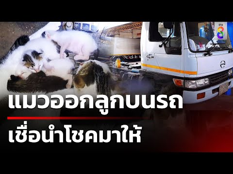 คลิกเพื่อดูคลิปวิดีโอ