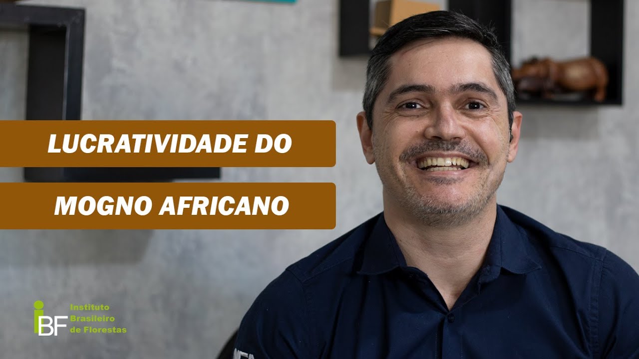 Lucratividade do mogno africano - 2020