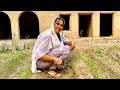 Desi Zindagi Ky Desi Rang Village Life Vlogs Aliza Sehar Vlogs