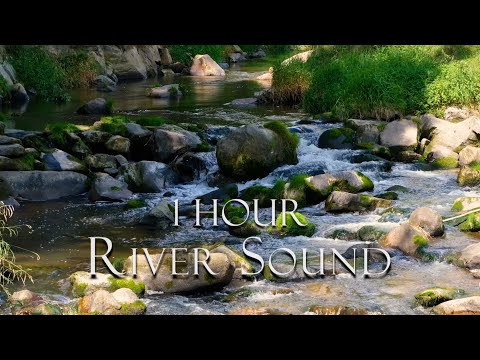 Bachlauf über Steine | muntere Wassergeräusche | sofort positive Energie und mentale Frische