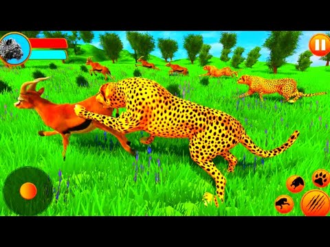 Wild Cheetah Simulator Android Mobial Games Cheetah Kill The Animals#1