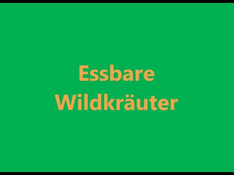 26 Essbare Wildkräuter - JETZT NEU MIT KAPITELN!!! Alles Einzeln anwählbar!!!
