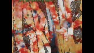 Haemorrhage - Exquisite Eschatology