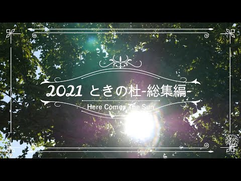 ＜特別編＞ときの杜散策日誌「2021年総集編」  |   ときの杜 愛知県幸田町 ケアホーム穂の香・あや音