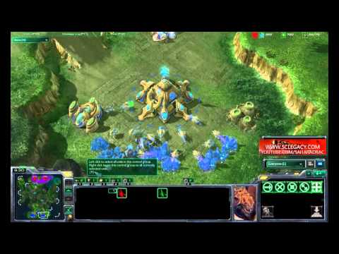 BlizzCon 2010 Invitational - White-Ra (P) vs. DimagA (Z) - Game 3