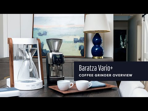 Baratza Vario+ Coffee Grinder | All-Purpose Flat Burr | Clive Coffee