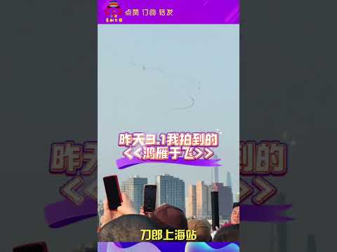 幸运昨天今天都拍到了 鸿雁于飞 ，太应景了！引来一队一队的大雁飞过黄浦江上空#daolangsongs#fun#funny#funnyvideo #funnyshortstatus#刀郎#2025