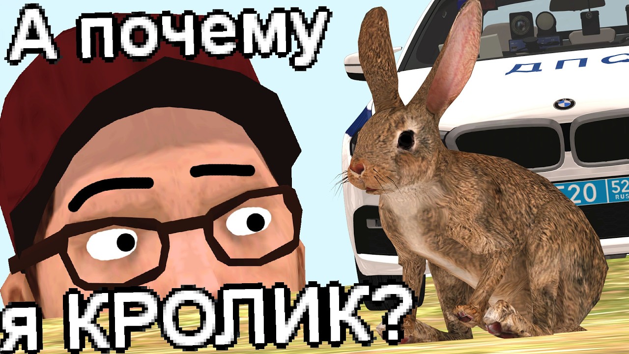 ОН ВСЕГО ЛИШЬ ХОТЕЛ ШТРАФИК...