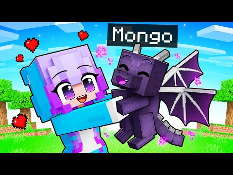Playing As A BABY DRAGON In Minecraft!