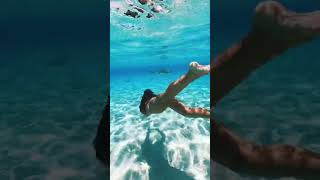 Download lagu Swimming with Sharks in Bora Bora mp3