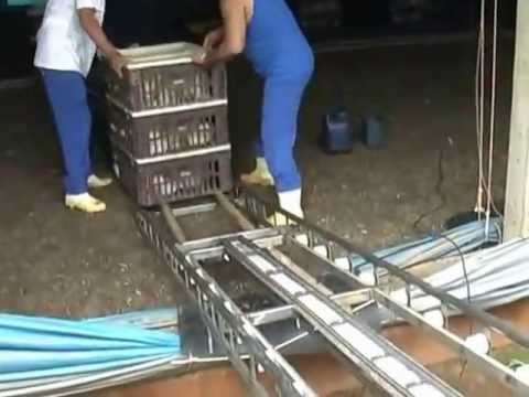 download lagu mp3 mp4 Fm Transporte, download lagu Fm Transporte gratis, unduh video klip Fm Transporte