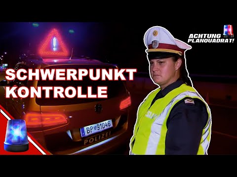 Lenkerberechtigung vorhanden? Strenge Kontrollen in Wien | Achtung Planquadrat! | ATV