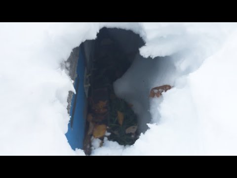 That was something else, reeling from that early October winter storm -October 12 2019