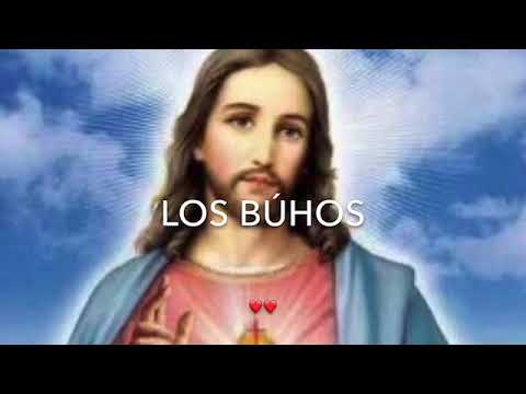 Los Búhos Padre 📀Nuestro