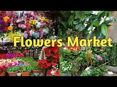 download lagu mp3 mp4 Flowers Mumbai, download lagu Flowers Mumbai gratis, unduh video klip Flowers Mumbai