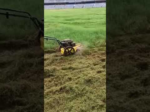 WST Wheeled String Trimmer Brush Mower For Wild Grass Not Cubcadet