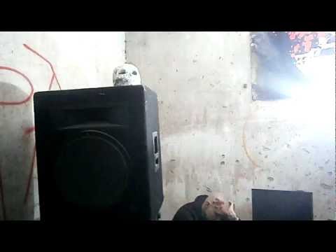 Mordownia terrorcore Łódz 2011